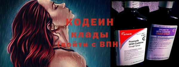 дживик Богородск