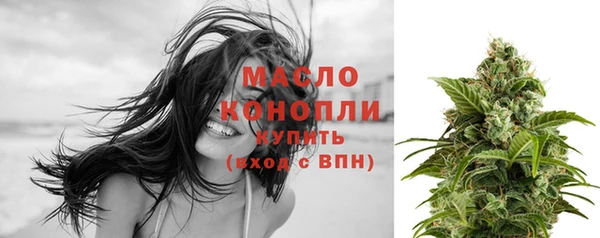 дживик Богородск