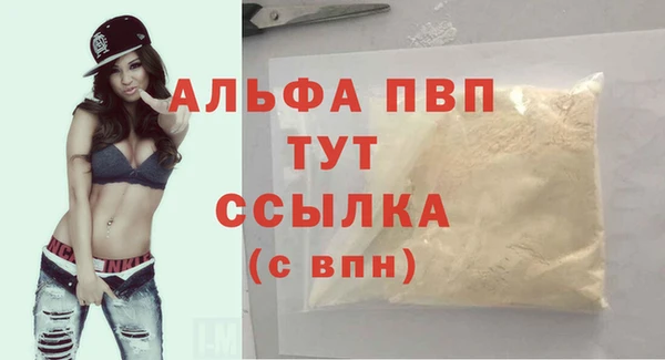 сатива Богданович