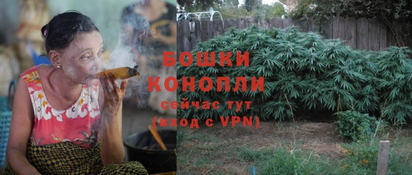 сатива Богданович