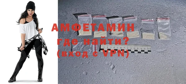 молекула духа Богородицк
