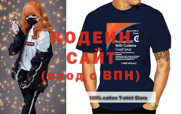 молекула духа Богородицк
