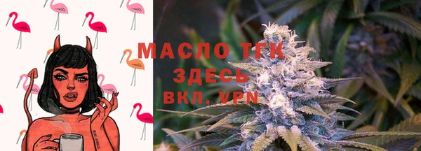 дживик Богородск