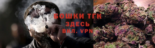 дживик Богородск