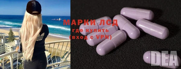молекула духа Богородицк